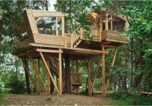 Large Tree House Plans Almke Treehouse by Baumraum Provides Gathering Place for