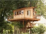Large Tree House Plans How to Build A Simple Treehouse without A Tree Wooden Global