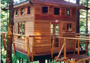 Large Tree House Plans How to Build A Tree House Building Tips the Family
