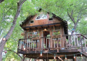 Large Tree House Plans Large Tree Houses with Classy Lighting Design for Large
