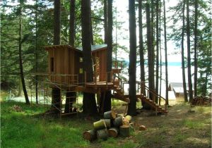 Large Tree House Plans Large Tree Houses with Cool Wooden Tree Houses On the Pine
