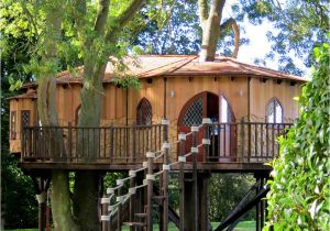 Large Tree House Plans Tree House Design Ideas for Modern Family