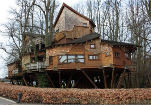 Large Tree House Plans Tree House Design Ideas for Modern Family
