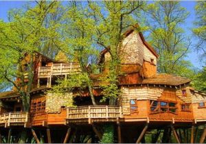 Large Tree House Plans Unusual Houses 120 Pics