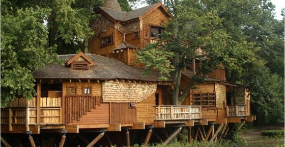 Large Tree House Plans What is Glamping Discover Glamping