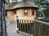 Livable Tree House Plans British Family is Living the Highlife In Treehouses by