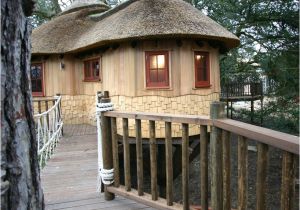 Livable Tree House Plans British Family is Living the Highlife In Treehouses by