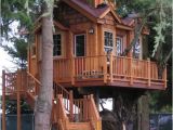 Livable Tree House Plans Casa Na Arvore 60 Modelos Para Adultos E Criancas