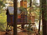 Livable Tree House Plans Deluxe Tree House Plans Woodwork City Free Woodworking Plans