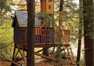 Livable Tree House Plans Deluxe Tree House Plans Woodwork City Free Woodworking Plans