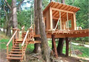 Livable Tree House Plans How to Build A Treehouse In the Backyard