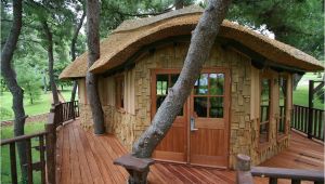 Livable Tree House Plans now that 39 S A Real Millionaire Play Pad the Luxury Tree