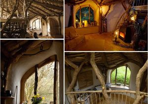 Low Impact Woodland Home Plans Unusual Buildings 4 the Ben Lomond Free Press