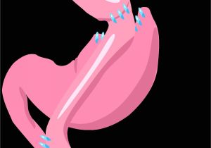 Lowe039s Ultimate Book Of Home Plans Lowe 39 S Home Plans Books Elegant Trellis area Home Plan Lowe039s Ultimate Book Of Home Plans Lowe 39 S Home Plans Books Elegant Trellis area Home Plan