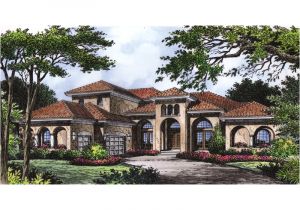 Luxury Homes Plans with Photos Luxury Mediterranean Style House Plans