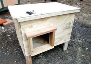 Make Your Own Dog House Plans 45 Easy Diy Dog House Plans Ideas You Should Build This