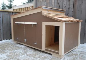 Make Your Own Dog House Plans Build Your Own Dog House 2017 2018 Best Cars Reviews