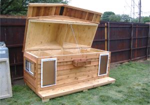 Make Your Own Dog House Plans Your Big Friend Needs A Large Dog House Mybktouch Com