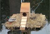 Mallard Duck House Plans 17 Best Images About Ducks On Pinterest Water Jugs
