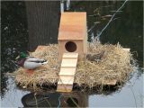 Mallard Duck House Plans 17 Best Images About Ducks On Pinterest Water Jugs