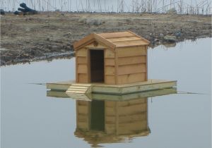 Mallard Duck House Plans Custom Floating Duck Houses