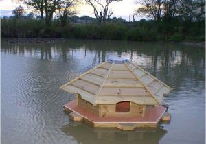 Mallard Duck House Plans Floating Duck Houses for Ponds Floating Mallard Duck