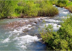 Markay Homes Floor Plans Markay Homes Floor Plans Home Design and Style Markay Homes Floor Plans Markay Homes Floor Plans Home Design and Style