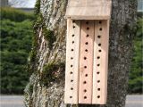 Mason Bee House Plans 301 Moved Permanently