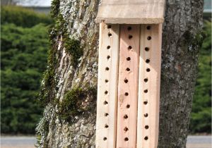 Mason Bee House Plans 301 Moved Permanently
