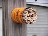 Mason Bee House Plans Bamboo 1000 Images About Mason Bee Houses On Pinterest