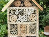 Mason Bee House Plans Bamboo 25 Best Ideas About Bee House On Pinterest Bees