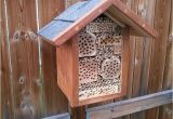 Mason Bee House Plans Bamboo 25 Trending Bee House Ideas On Pinterest Bees In House