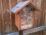 Mason Bee House Plans Bamboo 25 Trending Bee House Ideas On Pinterest Bees In House