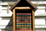 Mason Bee House Plans Bamboo 28 Best Images About Mason Bee Stufg On Pinterest
