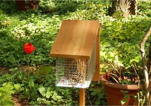 Mason Bee House Plans Bamboo Build Your Own Mason Bee House Boing Boing