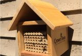 Mason Bee House Plans Bamboo Mason Bee House Plans 1 Visualize See Nest Hive Kartalbeton