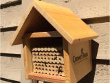 Mason Bee House Plans Bamboo Mason Bee House Plans 1 Visualize See Nest Hive Kartalbeton