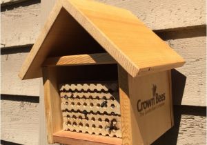 Mason Bee House Plans Bamboo Mason Bee House Plans 1 Visualize See Nest Hive Kartalbeton