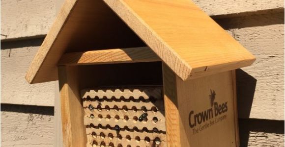 Mason Bee House Plans Bamboo Mason Bee House Plans 1 Visualize See Nest Hive Kartalbeton