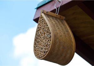 Mason Bee House Plans Bamboo Mason Bee House Steamy Kitchen Recipes Mason Bee House Plans Bamboo Mason Bee House Steamy Kitchen Recipes
