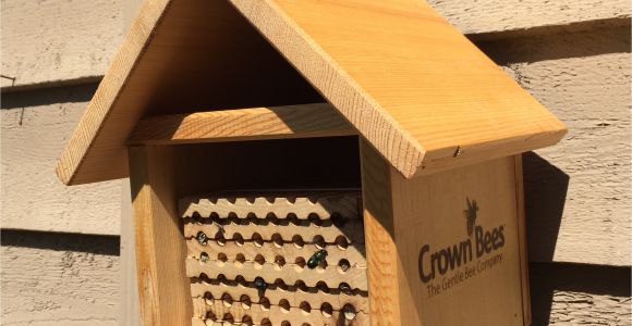 Mason Bee House Plans Best 10 Mason Bee House Plans Decorating Design Of Mason