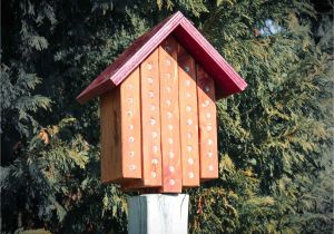 Mason Bee House Plans Mason Bee House 10 Mason Bee House Plans Mason Bee House 10