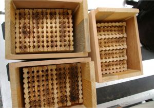 Mason Bee House Plans Mason Bees In the Arboretum