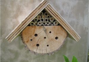 Mason Bee House Plans Pin by Paulette Pelley On Idea 39 S for 4h Pinterest