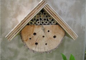 Mason Bee House Plans Pin by Paulette Pelley On Idea 39 S for 4h Pinterest Mason Bee House Plans Pin by Paulette Pelley On Idea 39 S for 4h Pinterest