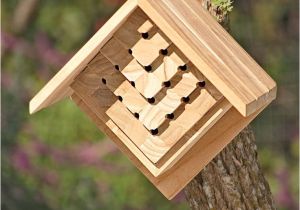 Mason Bee House Plans Teak Mason Bee House Mason Bee House Plans Teak Mason Bee House