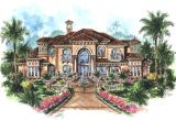 Mediterranean Home Plans Collection 5 Bedrm 6780 Sq Ft Mediterranean House Plan 175 1073