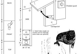 Mountain Bluebird House Plans Bluebird House Plans Hole Size Woodworktips Mountain Bluebird House Plans Bluebird House Plans Hole Size Woodworktips