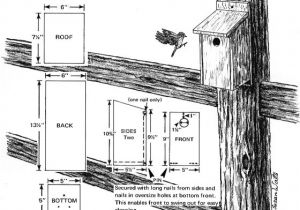 Mountain Bluebird House Plans Garden Girl 39 S Chi Simple Plan for Eastern Bluebird House Mountain Bluebird House Plans Garden Girl 39 S Chi Simple Plan for Eastern Bluebird House