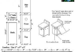 Mountain Bluebird House Plans Home Ideas Mountain Bluebird House Plans Home Ideas